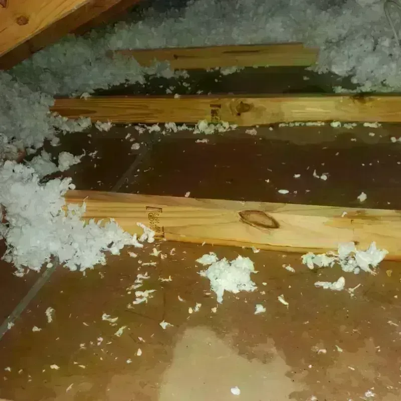 Attic Water Damage in West Wyomissing, PA